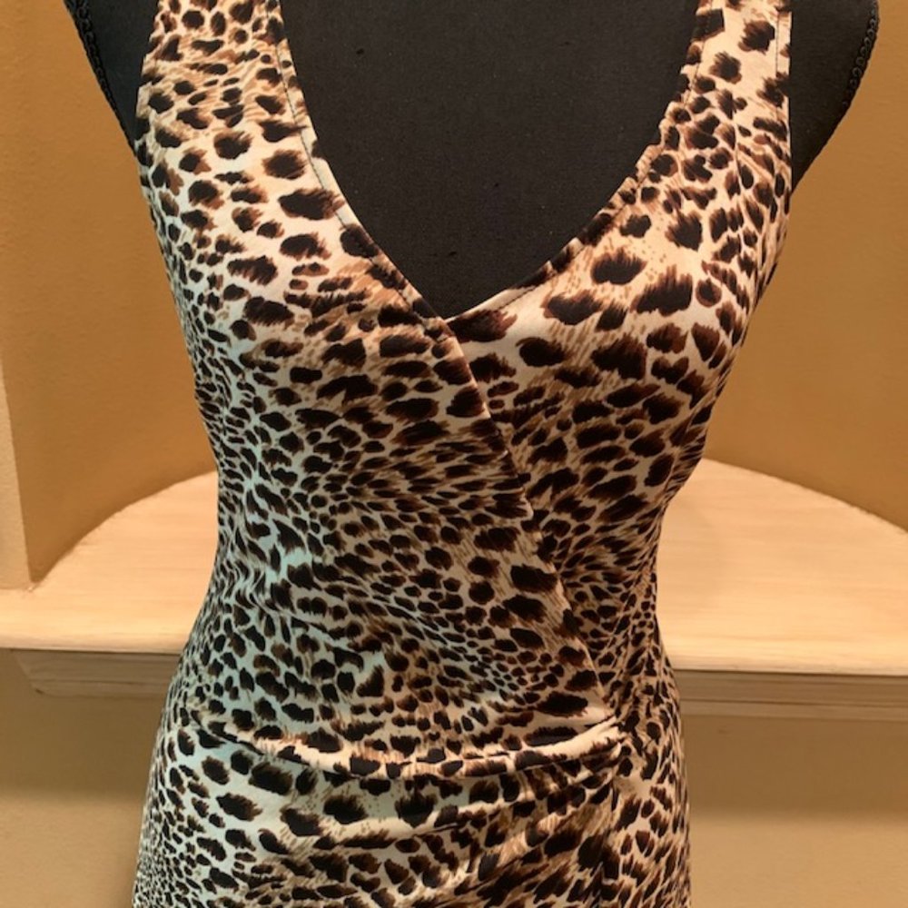 BCBG Animal Print Dress
